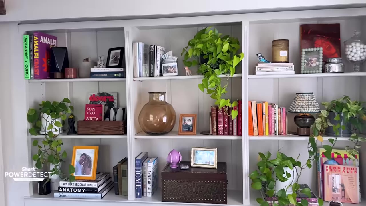 A neatly organized white built-in bookshelf filled with colorful books, potted green plants, framed photographs, and decorative objects.