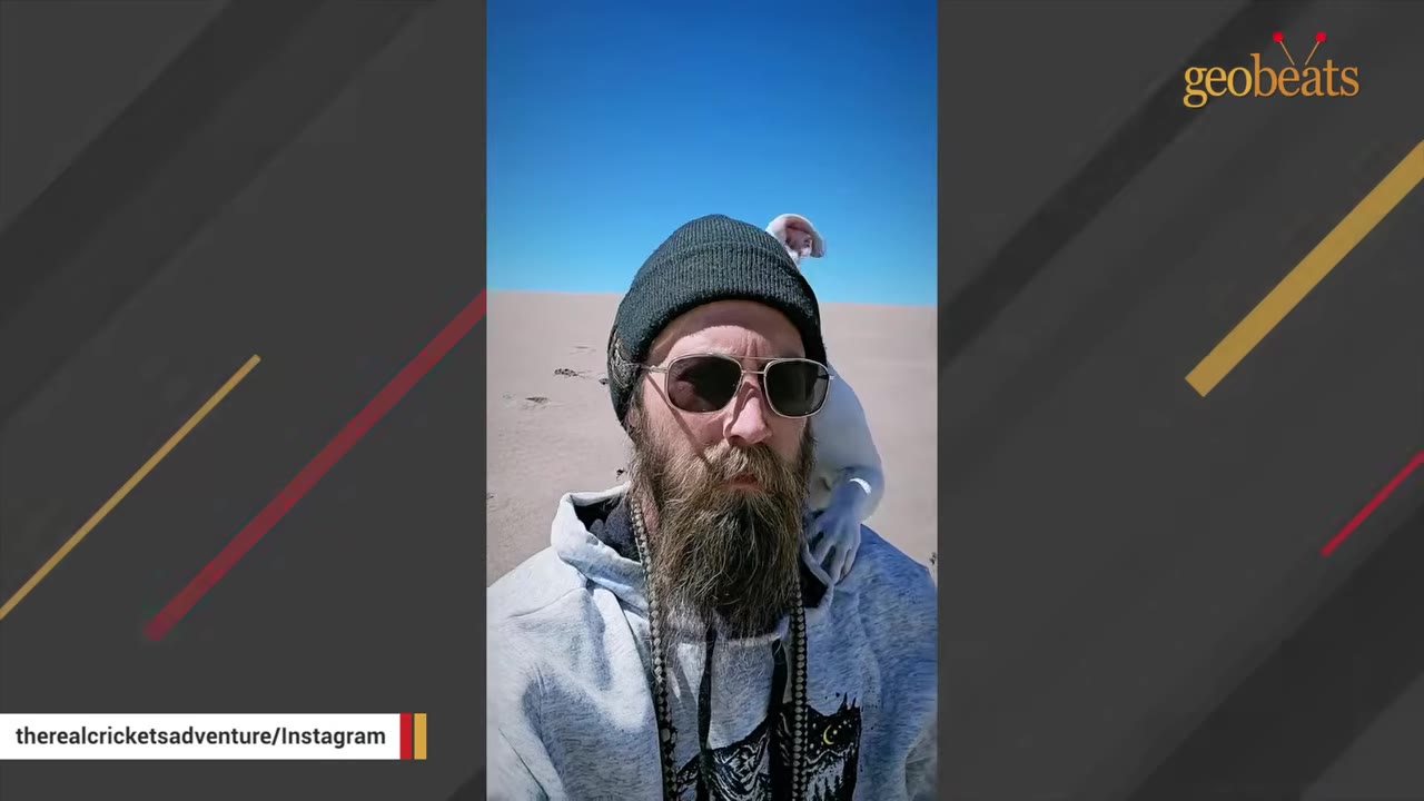A white dog clings to the back of a bearded man wearing sunglasses and a beanie in a sandy desert.