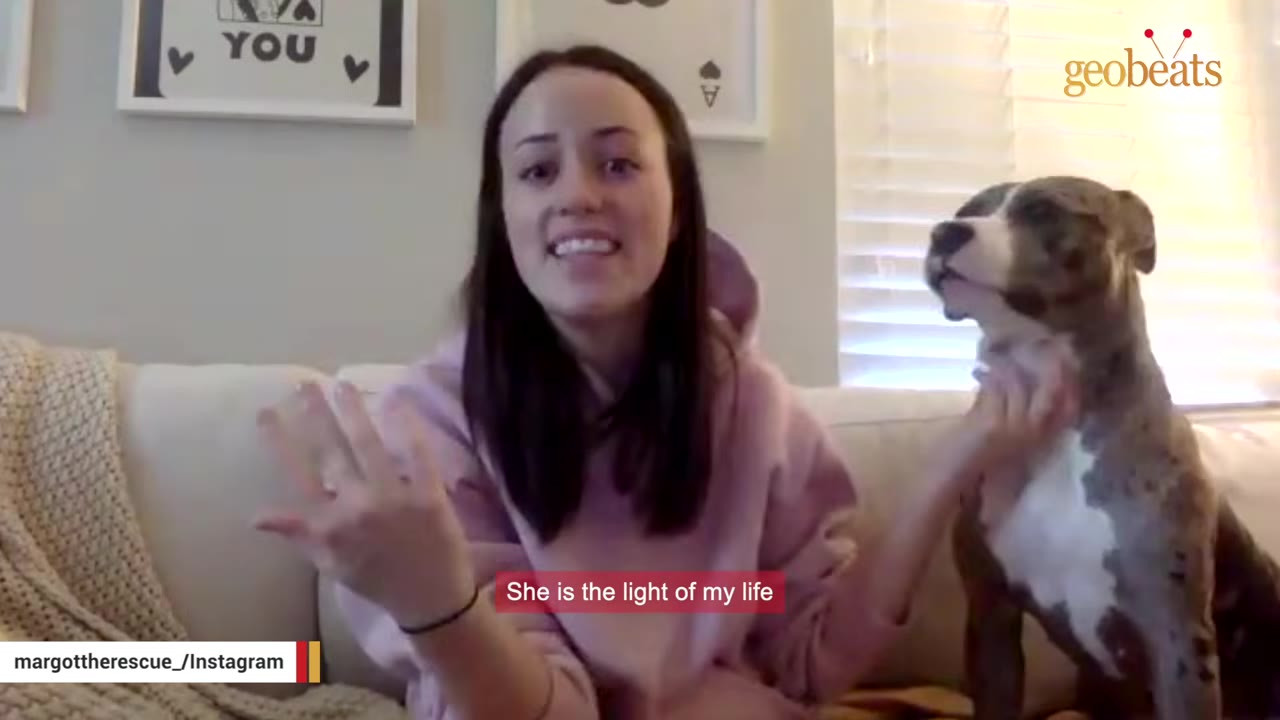 A woman in a pink hoodie sits on a couch next to a brindle and white dog, smiling as she pets the dog's chest.
