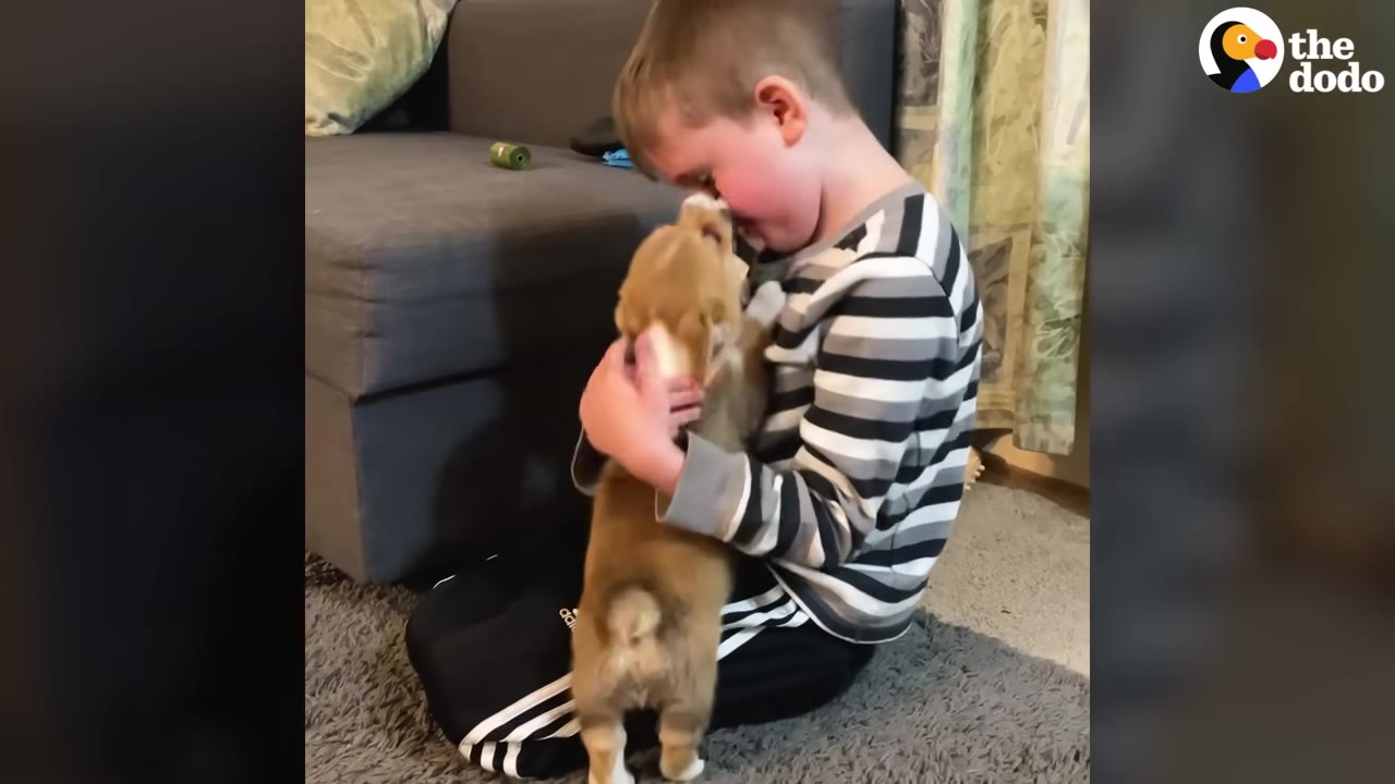 A young boy in a striped shirt sits on a grey rug, hugging a small tan puppy close to his chest.