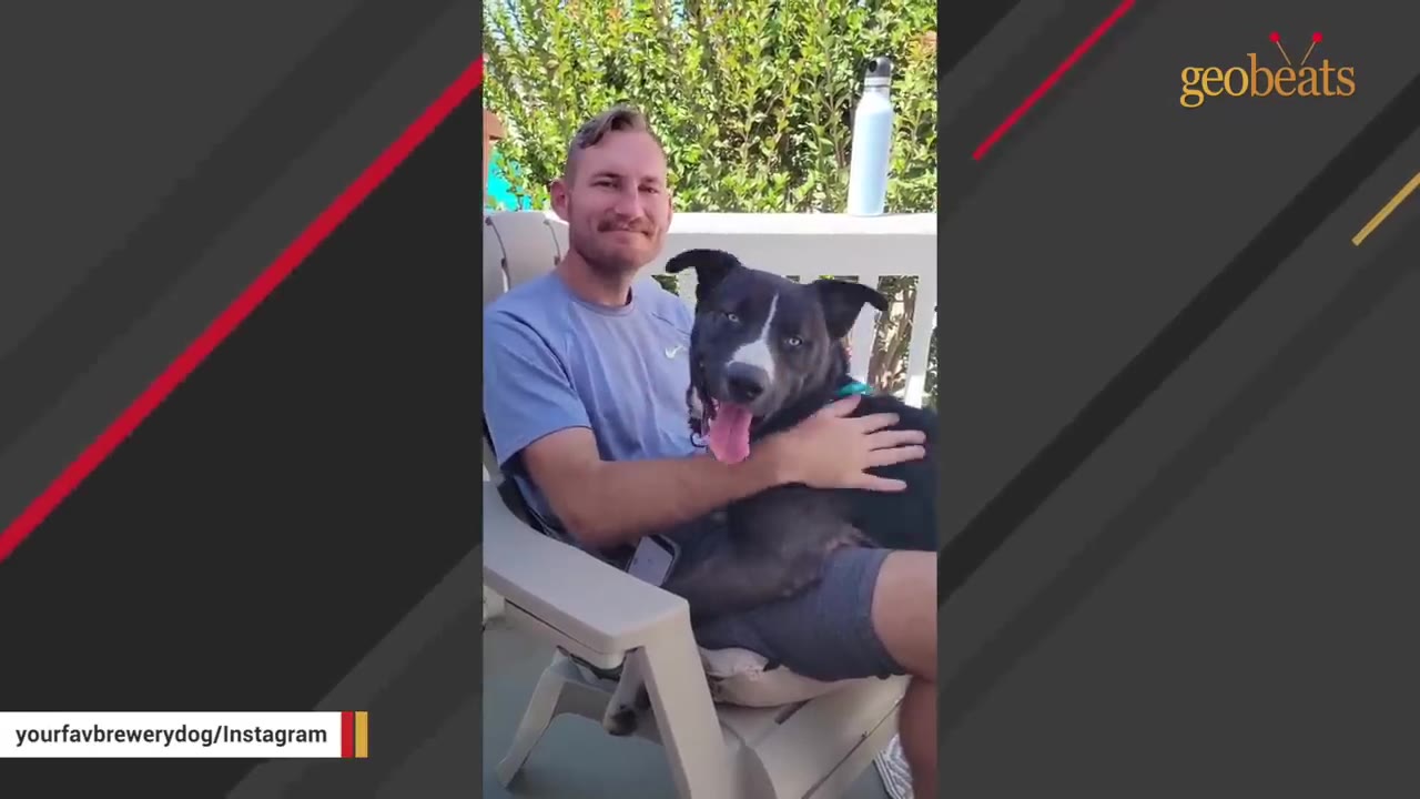 A smiling man sitting in an outdoor chair holds a black and white dog with blue eyes on his lap.