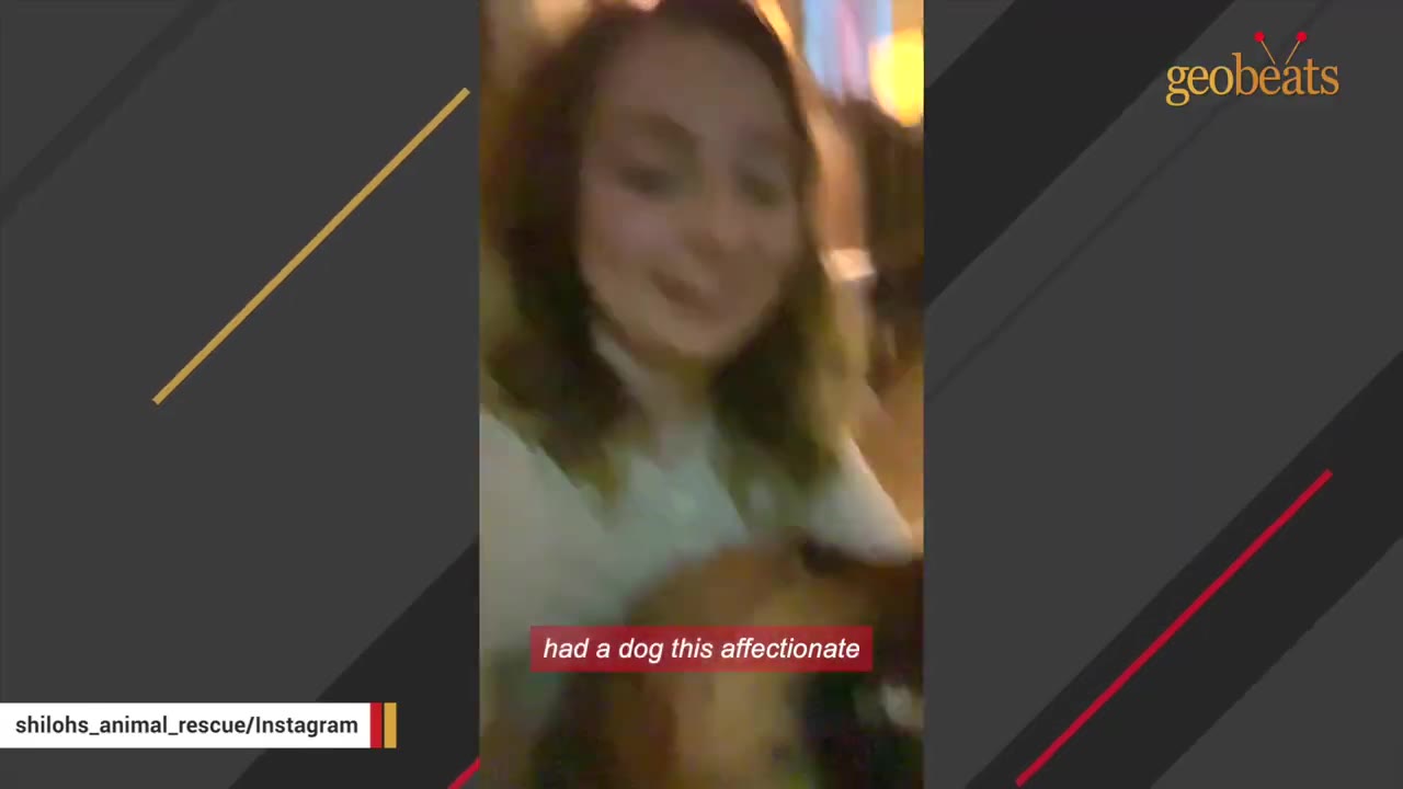 A smiling woman holding a dog, with a text overlay that reads "had a dog this affectionate".