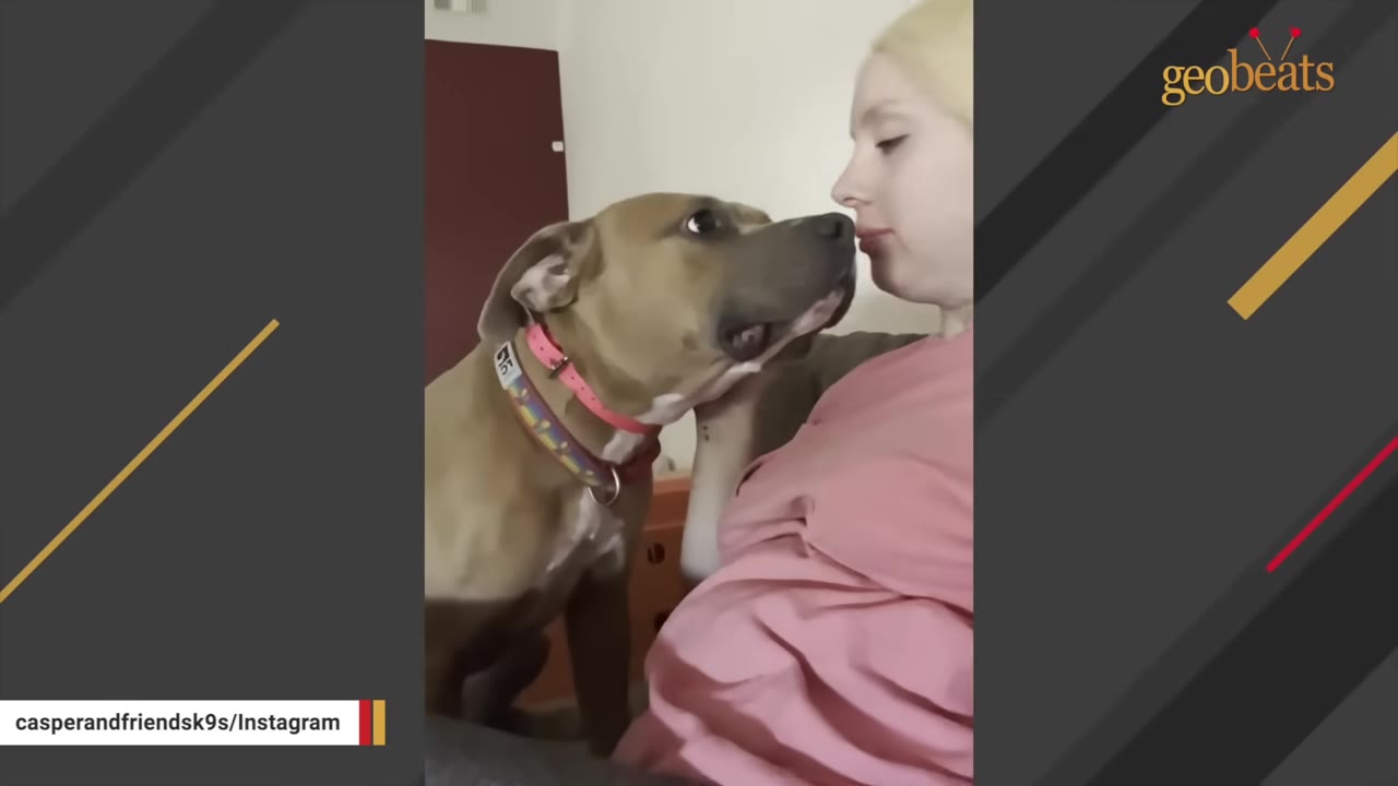 A brown dog wearing a colorful collar looks affectionately at a blonde woman wearing a pink shirt.