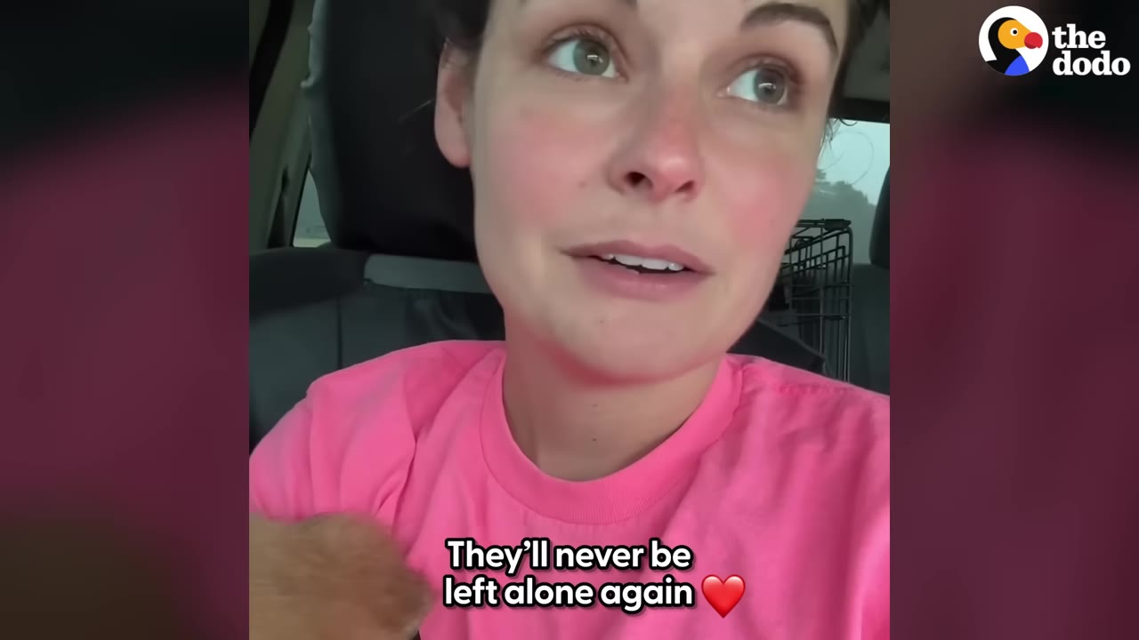 A close-up of a woman in a pink shirt looking emotional inside a vehicle, holding a small brown puppy in her arms.