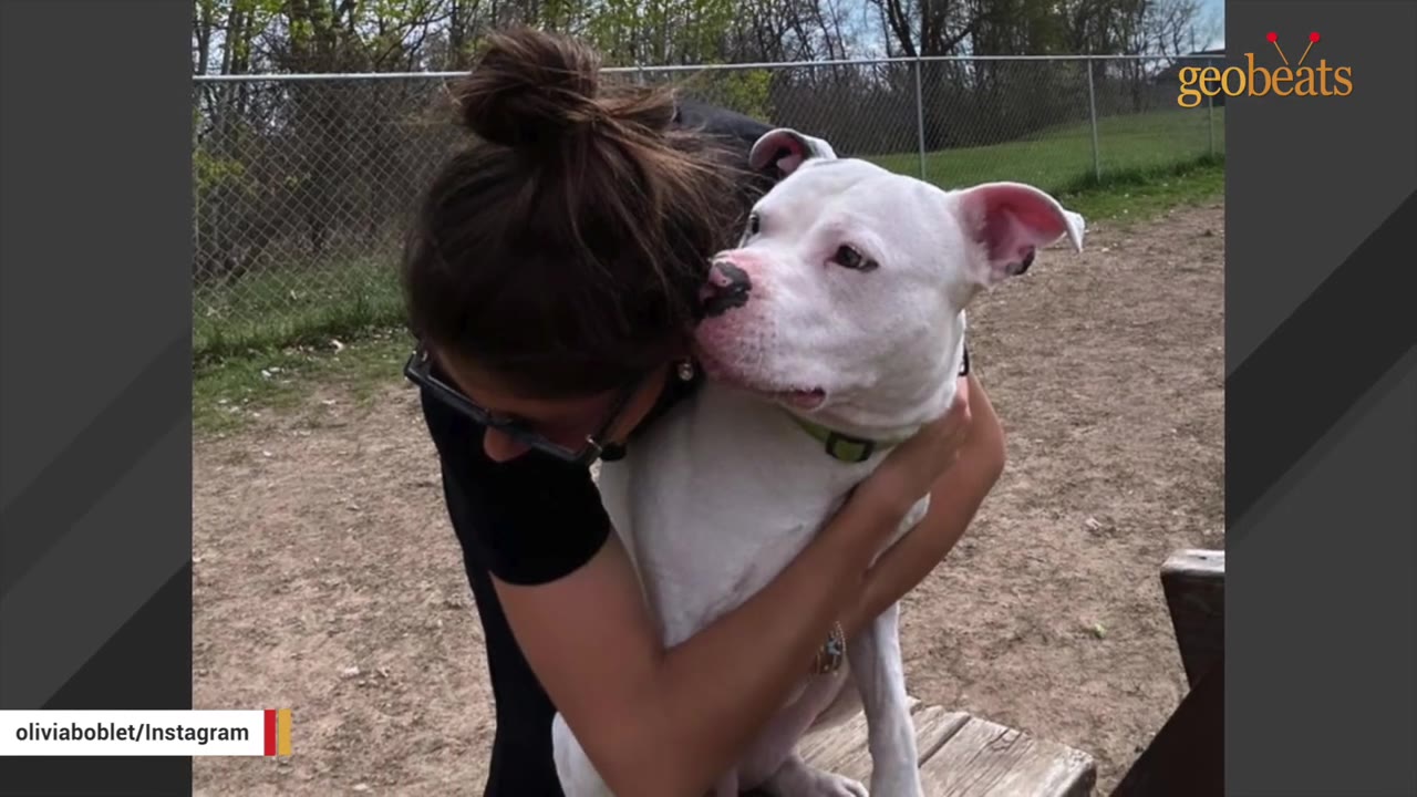 A woman with her hair in a bun hugs a white dog with black spots on its nose in an outdoor fenced area.