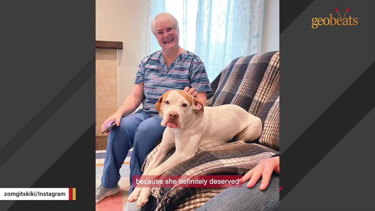 A smiling woman with short grey hair and glasses sits on a couch next to a white and brown dog named Kiki, who is lying down with her tongue sticking out.