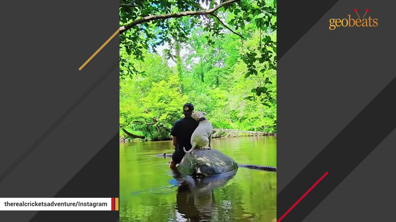 A man wearing a black shirt and cap sits in a river next to a large rock, where a white dog sits and affectionately rests its head against his shoulder, surrounded by lush green trees.