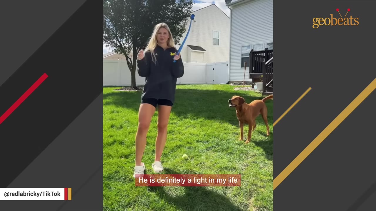 A young woman stands on a green lawn holding a blue ball launcher, looking at the camera, while a brown Labrador Retriever stands nearby looking up at her. The caption reads, 'He is definitely a light in my life'.