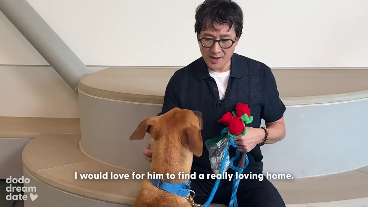 Ke Huy Quan sits next to a brown dog, holding a blue leash and plush red roses, with a subtitle that reads, 'I would love for him to find a really loving home.'
