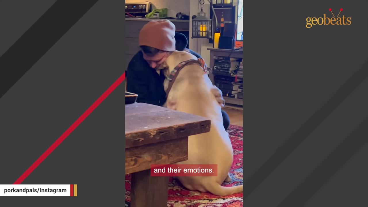 A light-colored dog leans in to cuddle a person wearing a pink beanie, showing a close emotional bond.