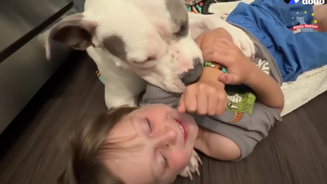 A smiling young boy lies on the floor as a white and grey dog nuzzles his neck affectionately.