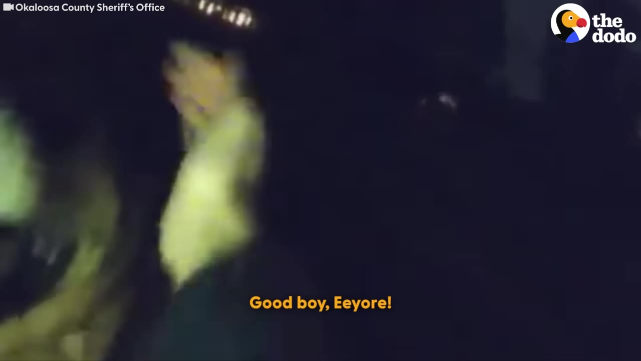 A blurry night-vision shot of a hand petting a dog, with the subtitle 'Good boy, Eeyore!' on screen.