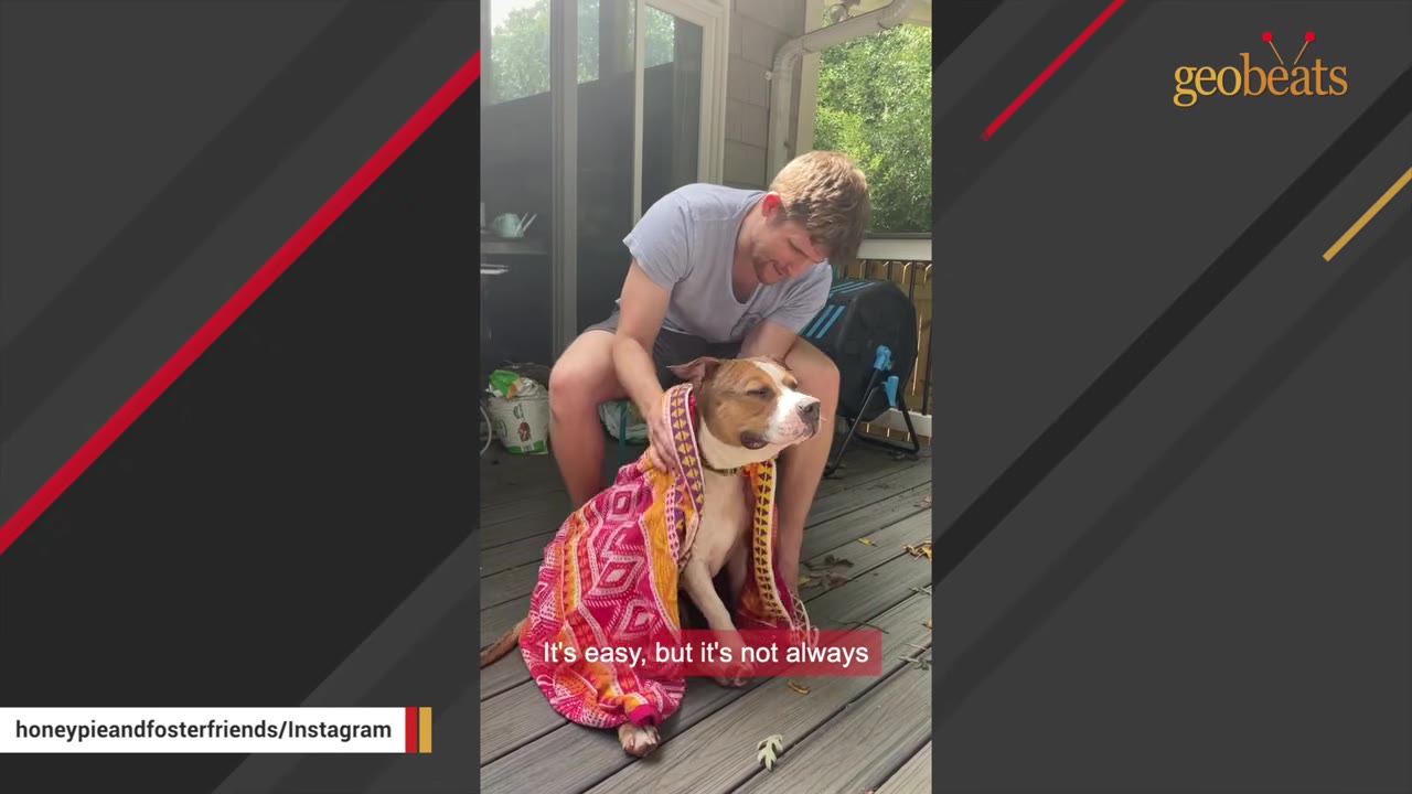 A man sits on a wooden deck and gently wraps a brown and white dog in a colorful pink and orange patterned towel.