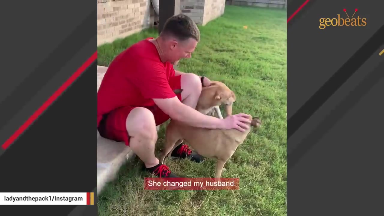 A man in a red shirt and shorts sits on a concrete step outdoors, smiling as he pets two light brown dogs on a grassy lawn.
