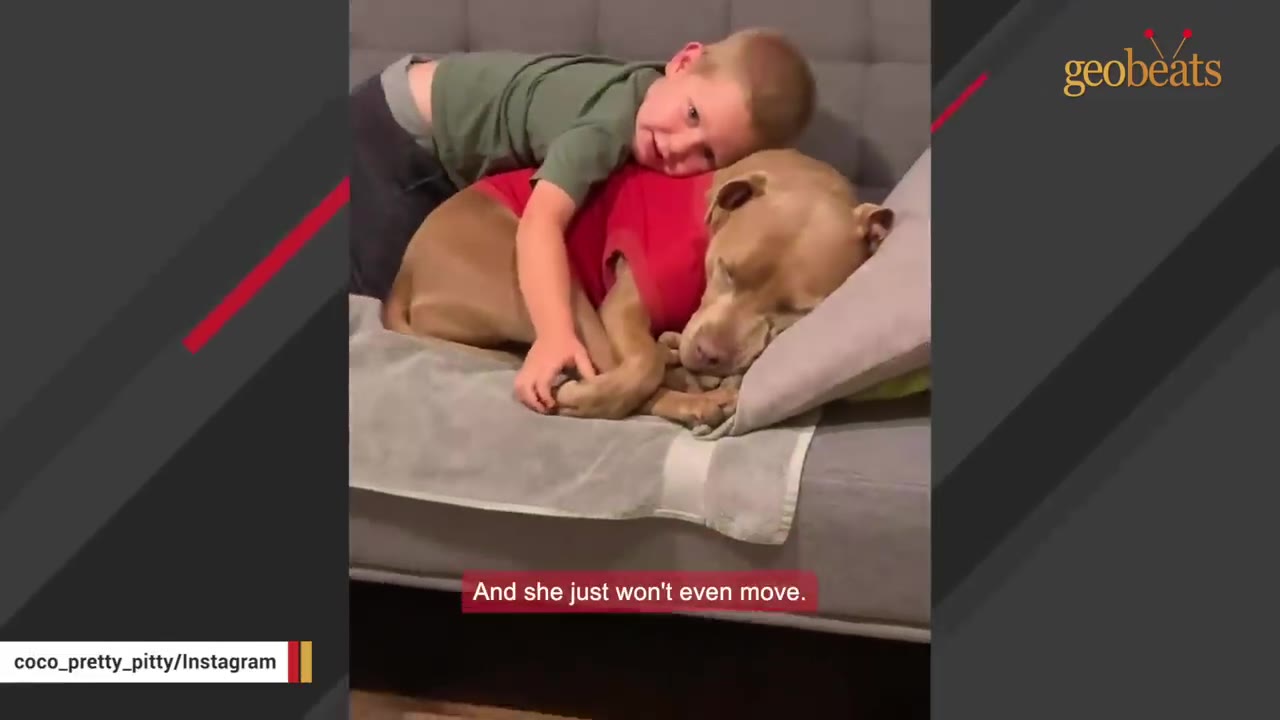 A young boy in a green shirt affectionately hugs a brown dog wearing a red shirt as they lie together on a grey couch.
