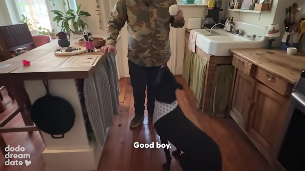 A man in a camouflage shirt and a black dog wearing a lobster-patterned bandana stand in a kitchen next to a wooden island where a certificate is displayed.