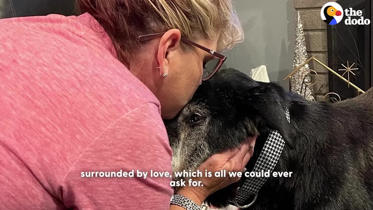 A woman wearing glasses and a pink shirt gently cradles and kisses the head of an elderly black dog.