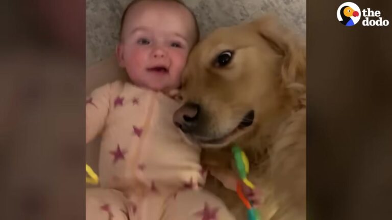 Georgia Dogs Meet Their New Baby Sister And Her First Milestone Leaves Her Mom Completely Melted