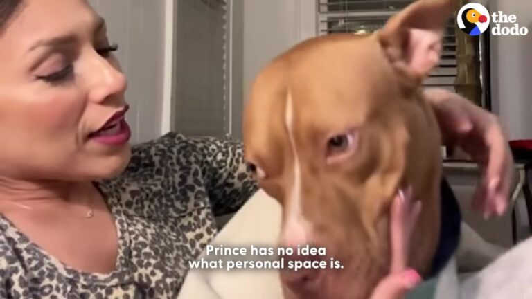 Texas Dog Refuses To Give His Mom Any Personal Space, But Then She Reveals The Heartbreaking Reason Why