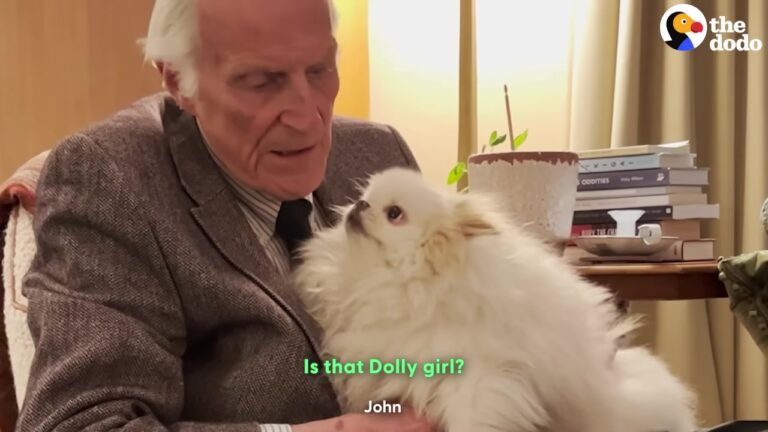 California Man With Memory Loss Has One Tiny Companion Who Never Lets Him Sit Alone
