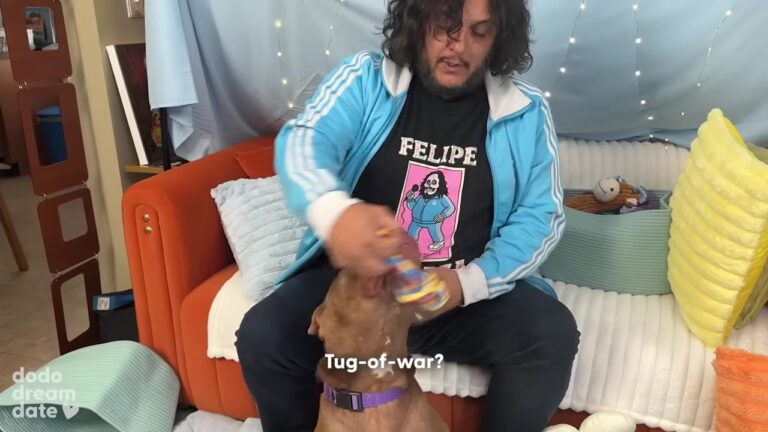 California Comedian Once Feared Pit Bulls, But Then A Shelter Dog Shows Him What Love Is