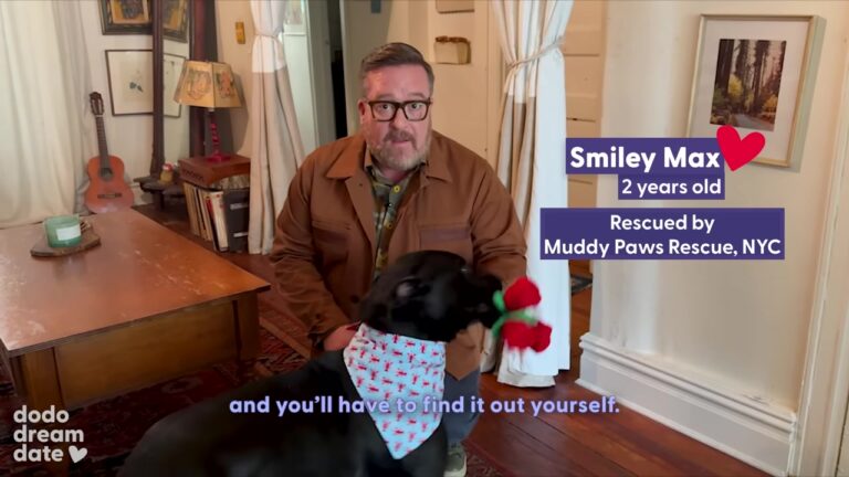 New York Shelter Dog Goes On A Special Blind Date That Reveals A Heartbreaking Secret