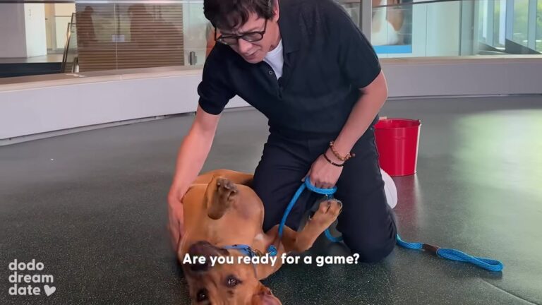 California Dog Misunderstood Because Of His Size Gets A Famous Friend To Help Change His Fate