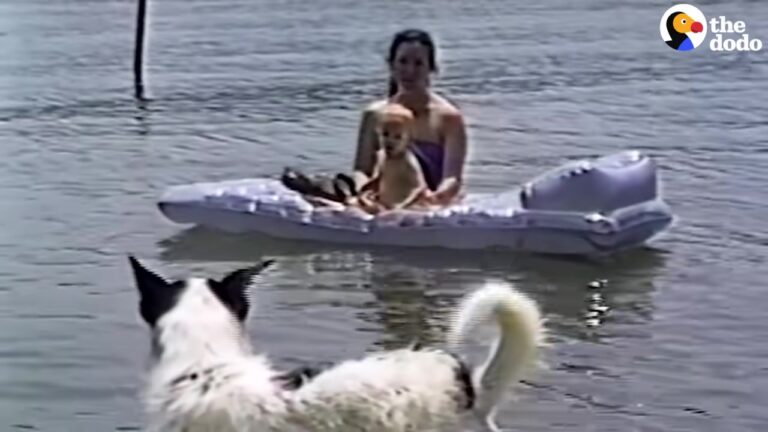 Pennsylvania Family Left Their Beloved Dog’s Resting Place Behind, But A Strange Question From The New Owners Leaves Them Stunned