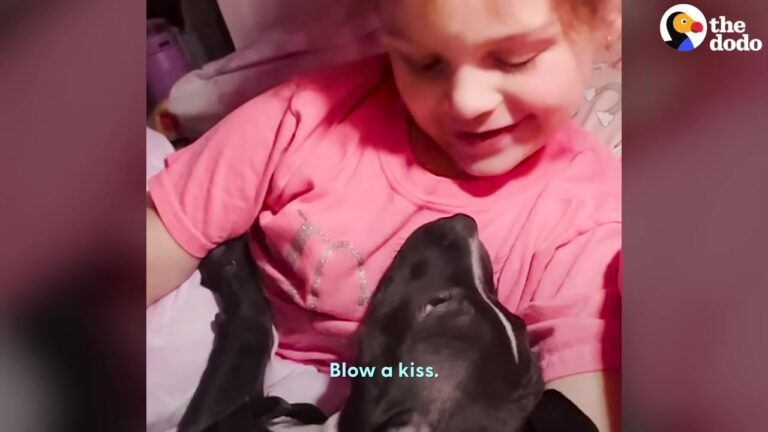 Lonely Texas Puppy Stares Through The Glass Door Before An Unexpected Message Brings A Surprising Twist