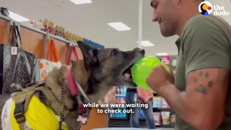 California Woman Gets Stood Up For A Date, But Her Senior Dog Turns The Night Into Something Unforgettable