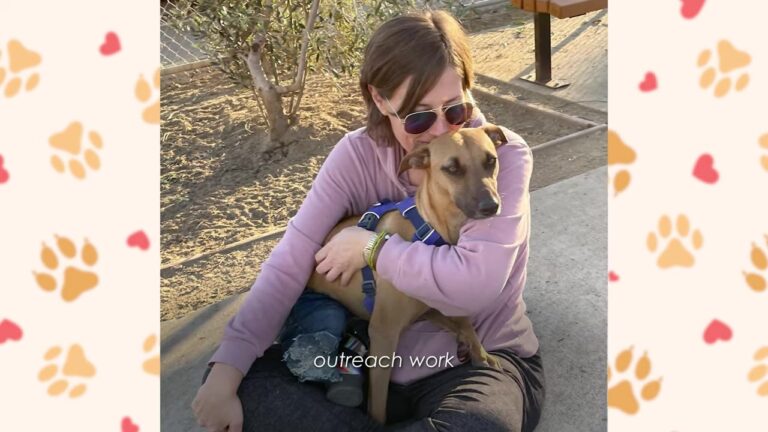 Texas Woman Scrolling Instagram Sees Something In A Dog’s Eyes And Can’t Stop Thinking About Him