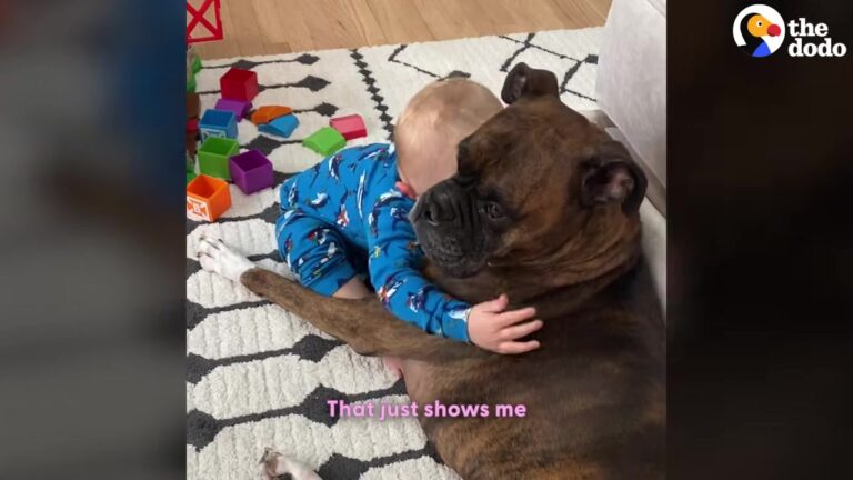 Ohio Dog Had Always Been The Center Of Attention, Until The Baby Did Something Unexpected