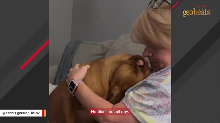 Virginia Dog Dumped At One Week Grows Up With An Instinct His Family Never Expected