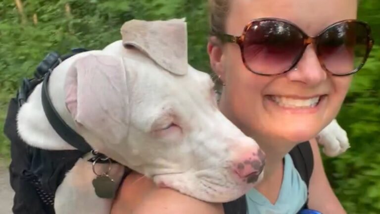 Deaf Puppy Was Surrendered By A Breeder, Then His Pennsylvania Family Realized Something Else Was Wrong