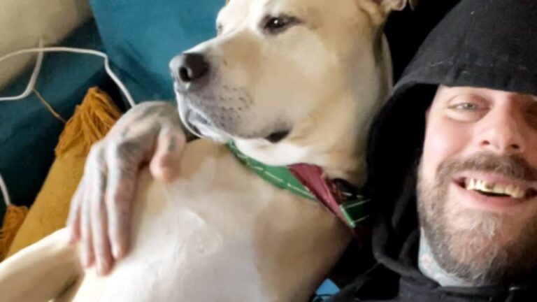 Georgia Family Thought Their Dog Was Perfectly Healthy Until One Small Change In His Foot Gave Them Pause