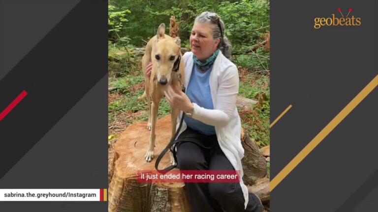 One Photograph Sent A Grieving Washington Woman On An Eleven-Hour Drive To Seattle