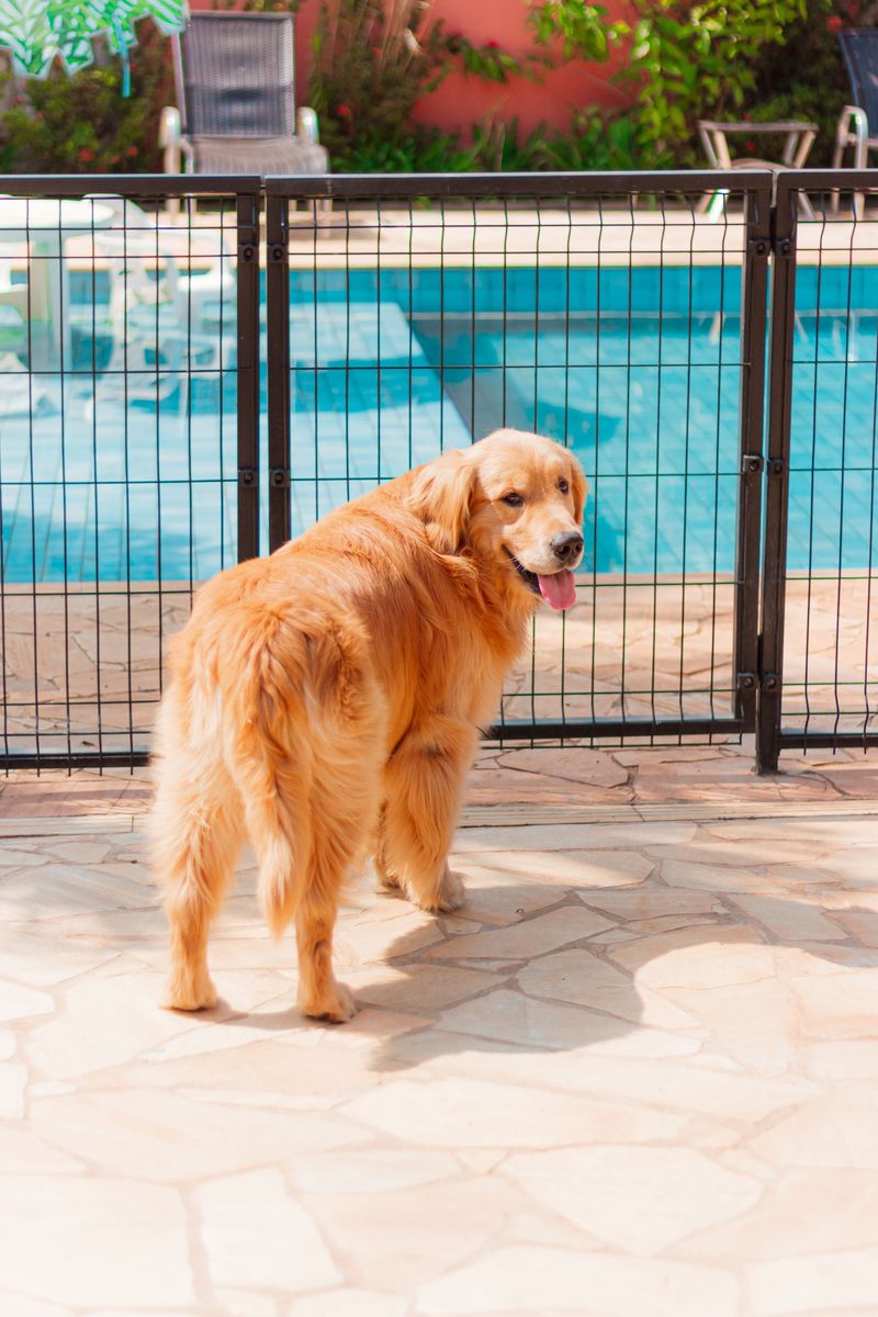 Pool Access That Is Not Fully Enclosed