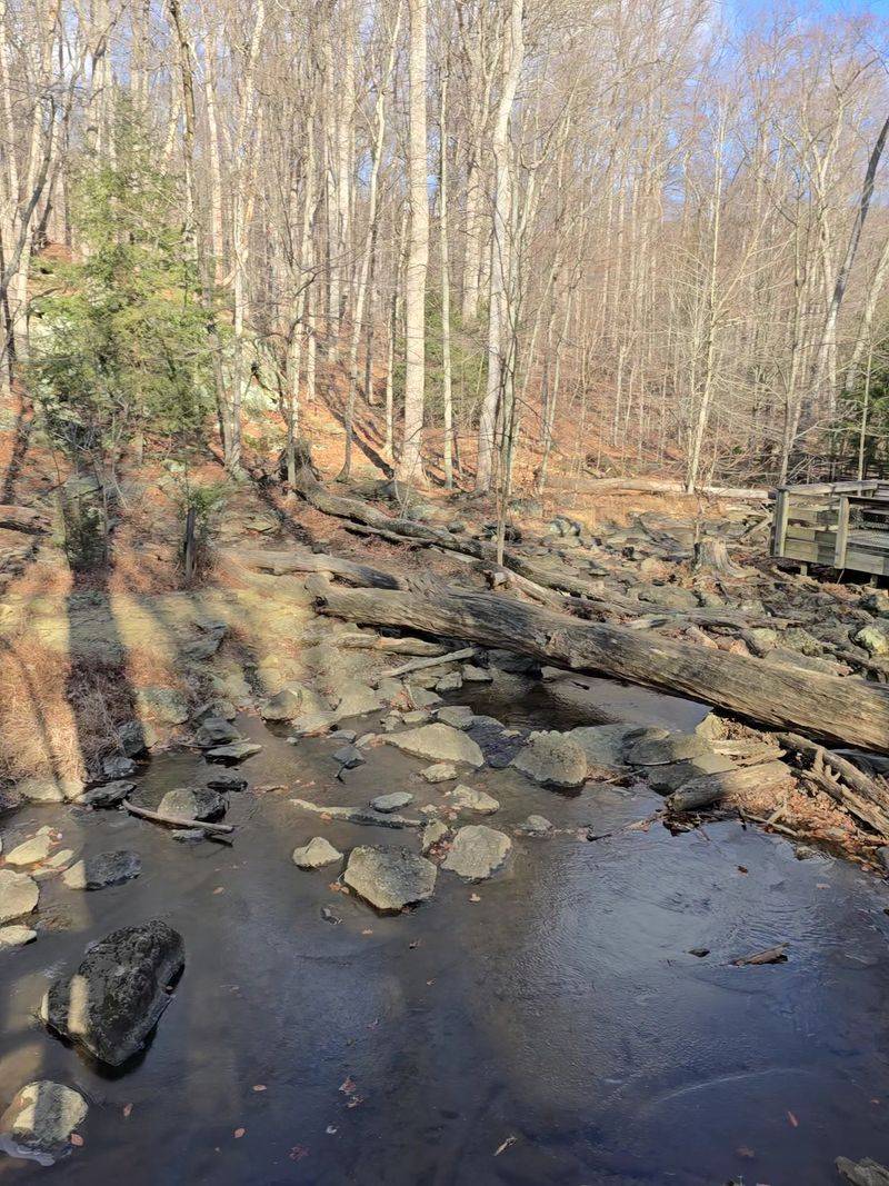 Cunningham Falls Lower Trail