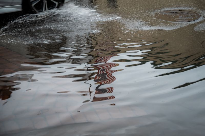 Fast-Rising Water Around Storm Drains And Dogs
