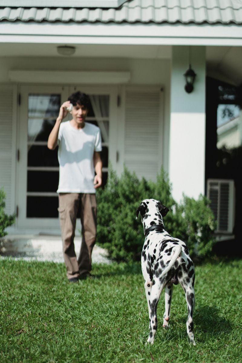 Reliable Recall Around Summer Guests