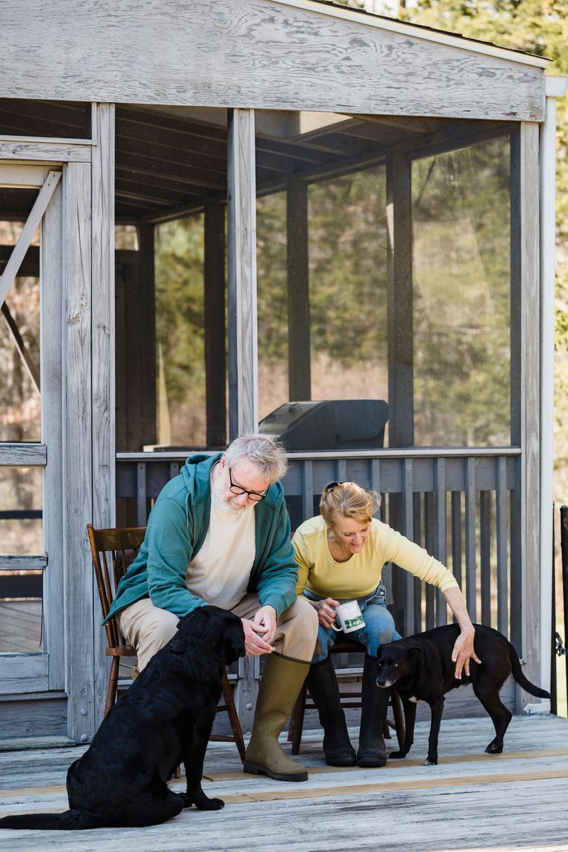 Calm Behavior Around Screen Doors
