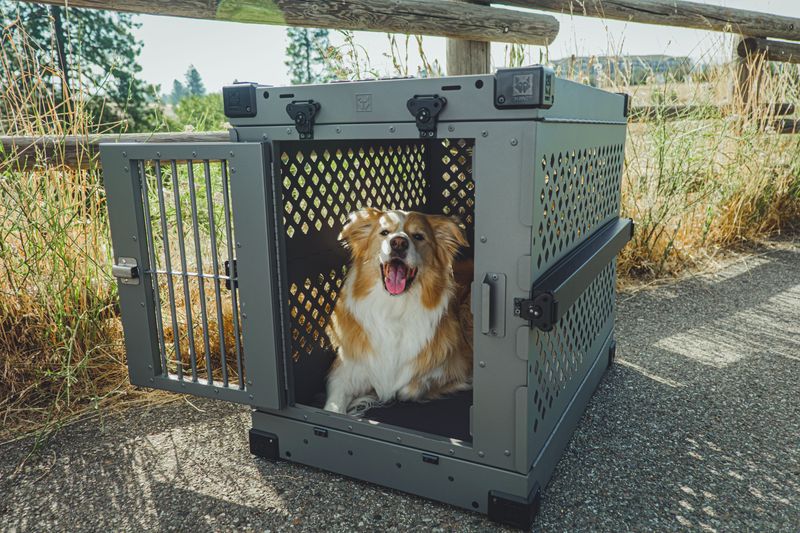 Keep a Sturdy Dog Carrier Near the Shelter