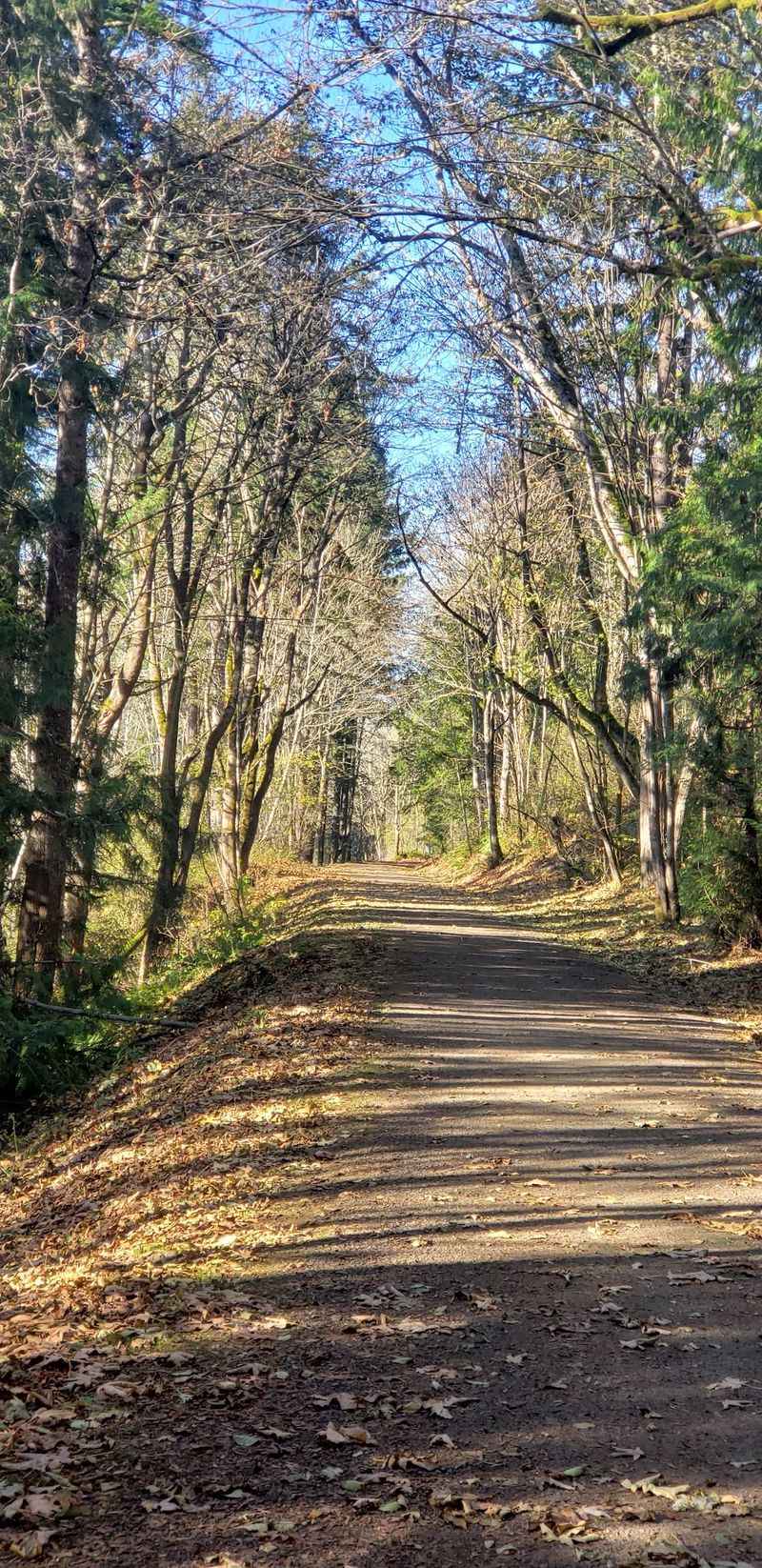 Snoqualmie Valley Trail
