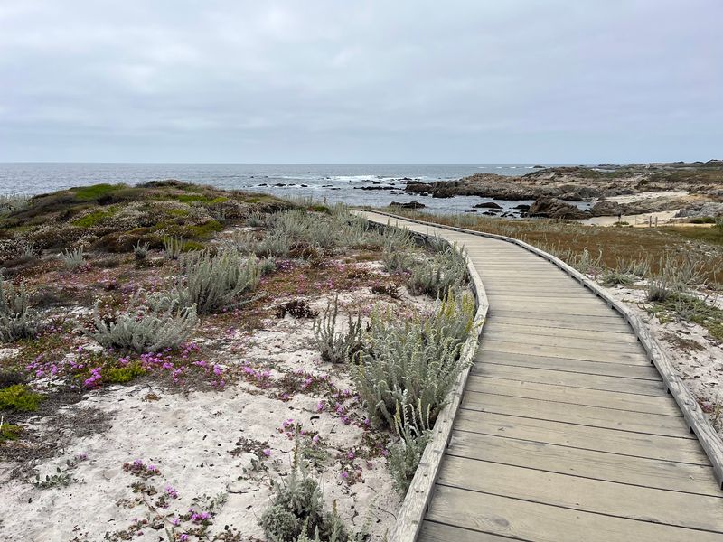 Asilomar Coastal Trail, Pacific Grove