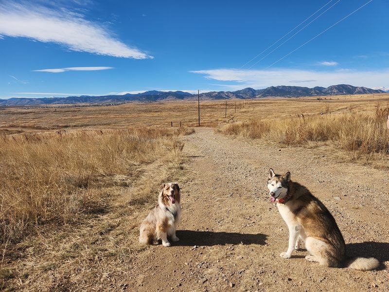 Westminster Hills Open Space Dog Off-Leash Natural Area, Westminster
