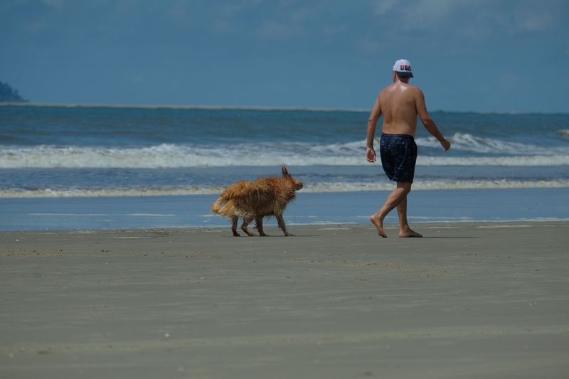Shorter Gulf Coast Walks When The Air Feels Heavy