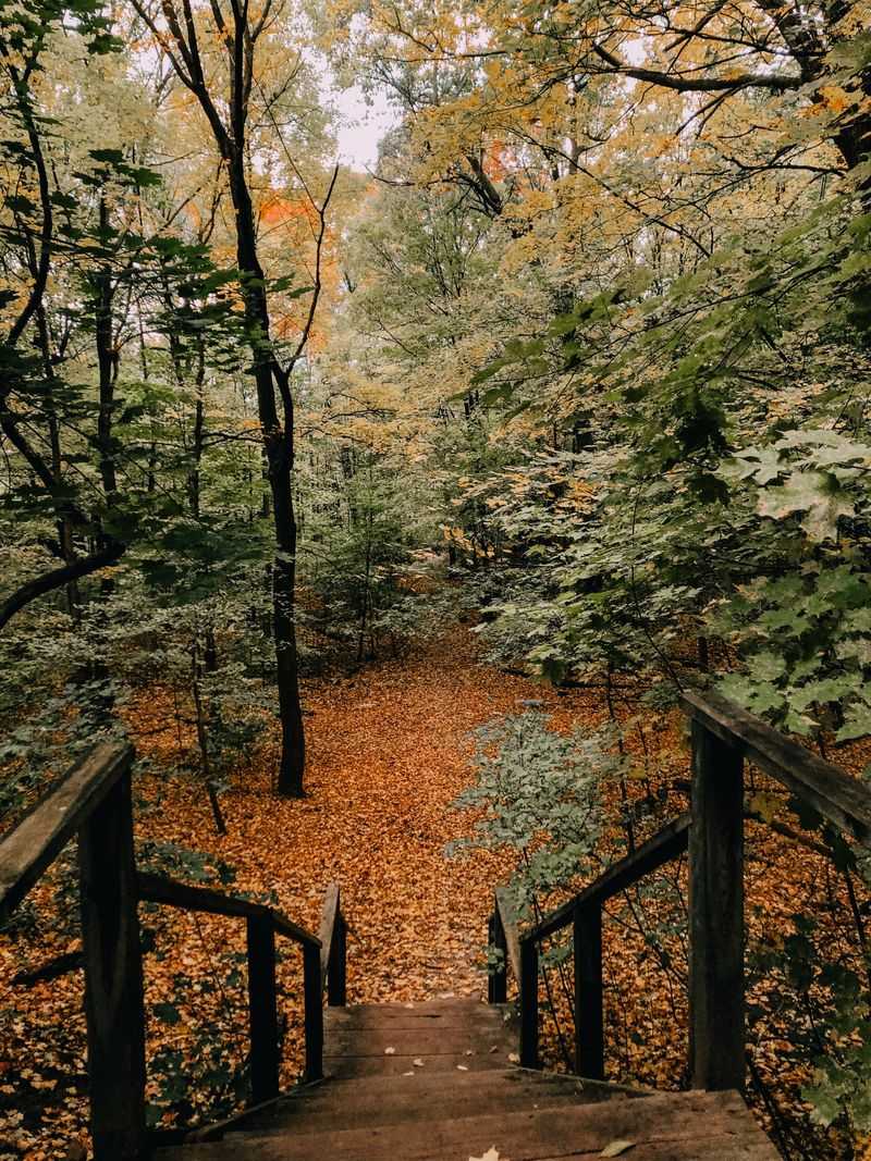 Robinette's Nature Trail, Grand Rapids