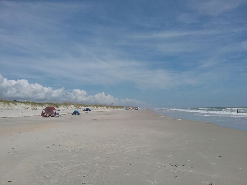 Huntington Beach State Park, Murrells Inlet