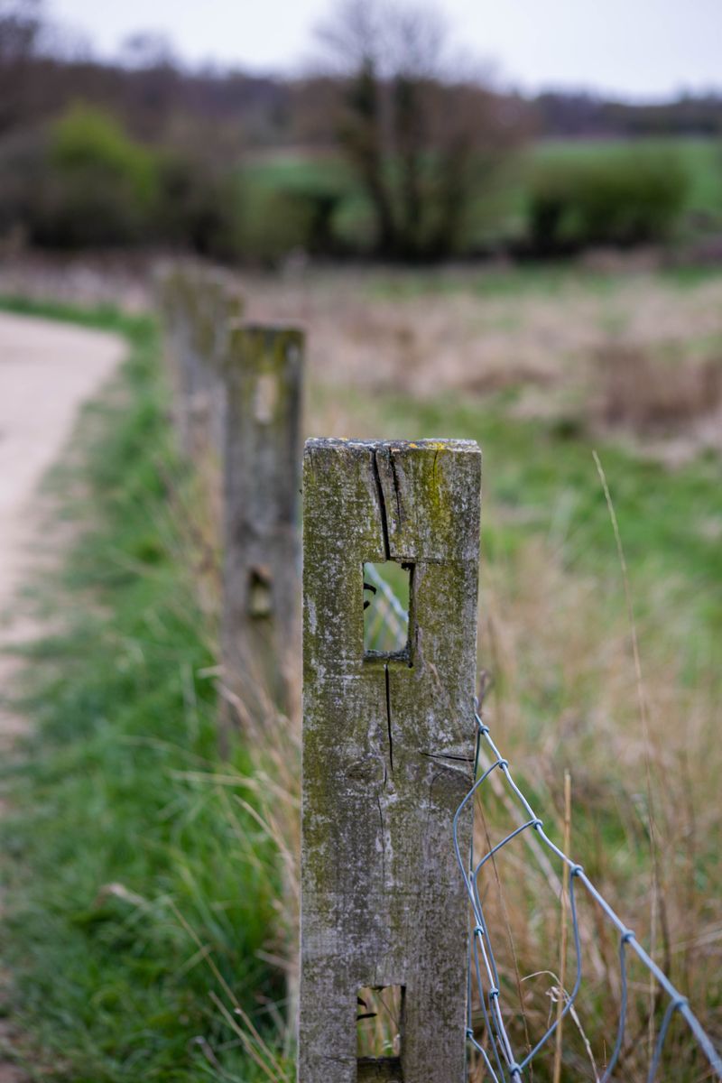Walk The Entire Perimeter Fence And Repair Weak Spots