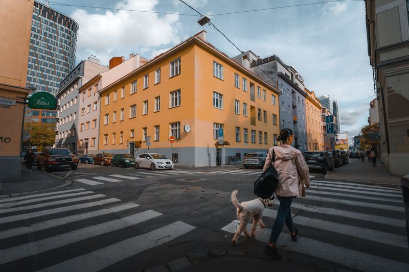 Sidewalk Loops Rule the City Schedule
